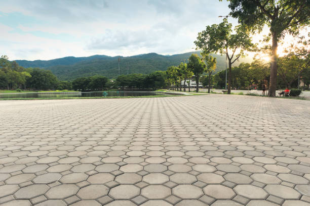 Trusted Avila Beach, CA Driveway Pavers Experts